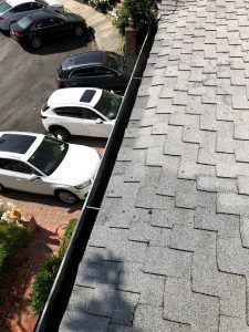 gutter cleaning Los Angeles
